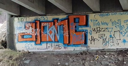 grafitti under ein bro med teksten alone. Mange oppdager at de er mer eller mindre alene.